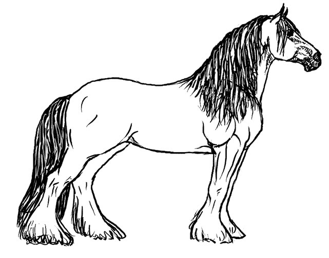 641x504 Free Coloring Pages Of A Paint Horse