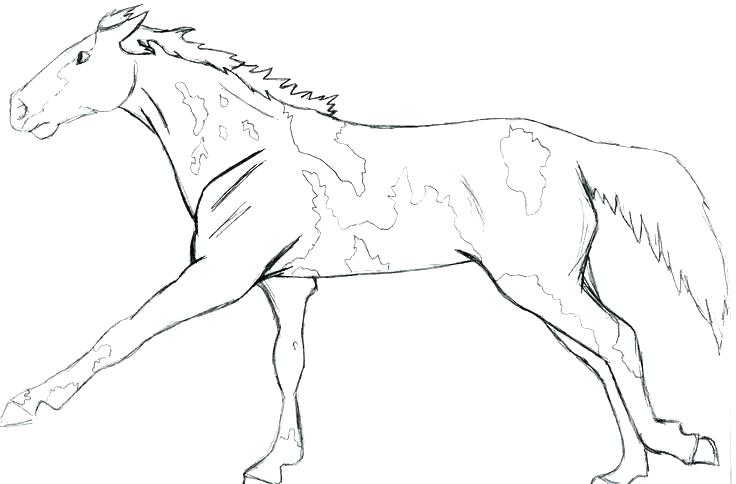 736x484 Breyer Coloring Pages Horse Coloring Pages Horse Coloring Pages