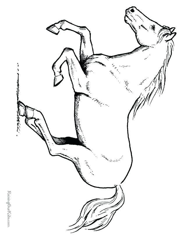 670x820 Coloring Pages For Horses Paint Horse Coloring Pages Medium Size