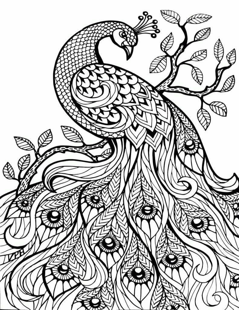 791x1024 Printable Adult Coloring Pages Paisley H Stress Relief