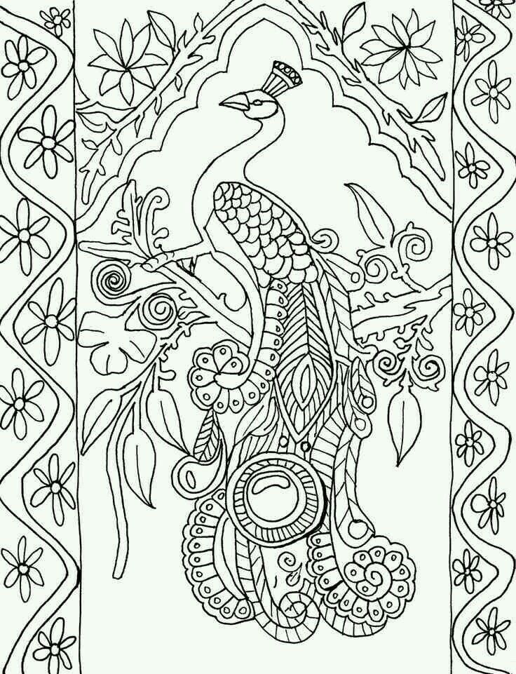 736x961 Peacock Coloring Pages Peacock