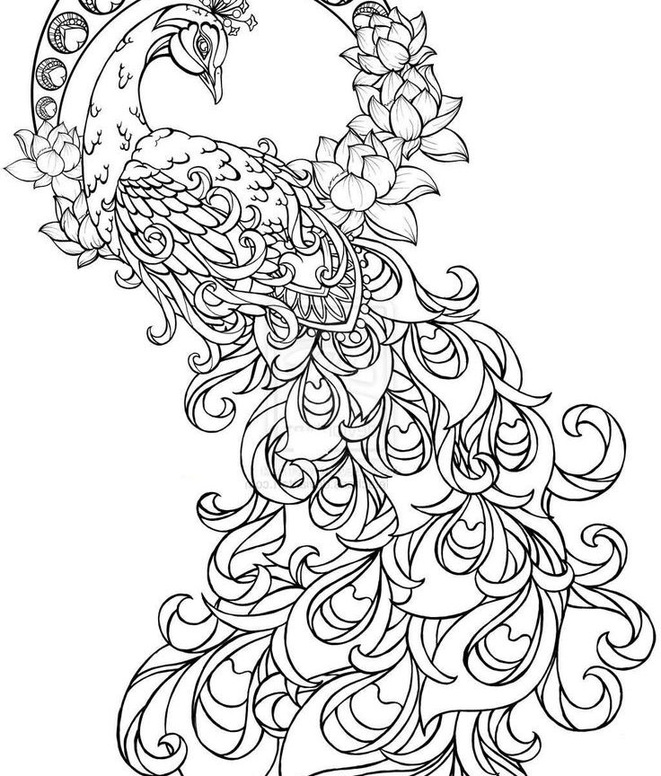 736x864 Paisley Hearts And Flowers Anti Stress Coloring Wonderful Page