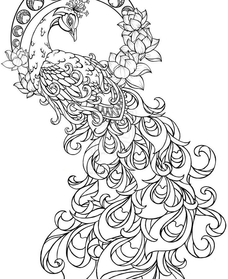 736x900 Paisley Hearts And Flowers Anti Stress Coloring Wonderful Page