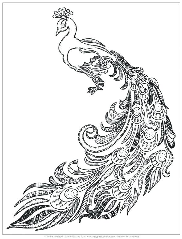 590x772 Peacock Coloring Pages For Adults Awesome Peacock Coloring Pages