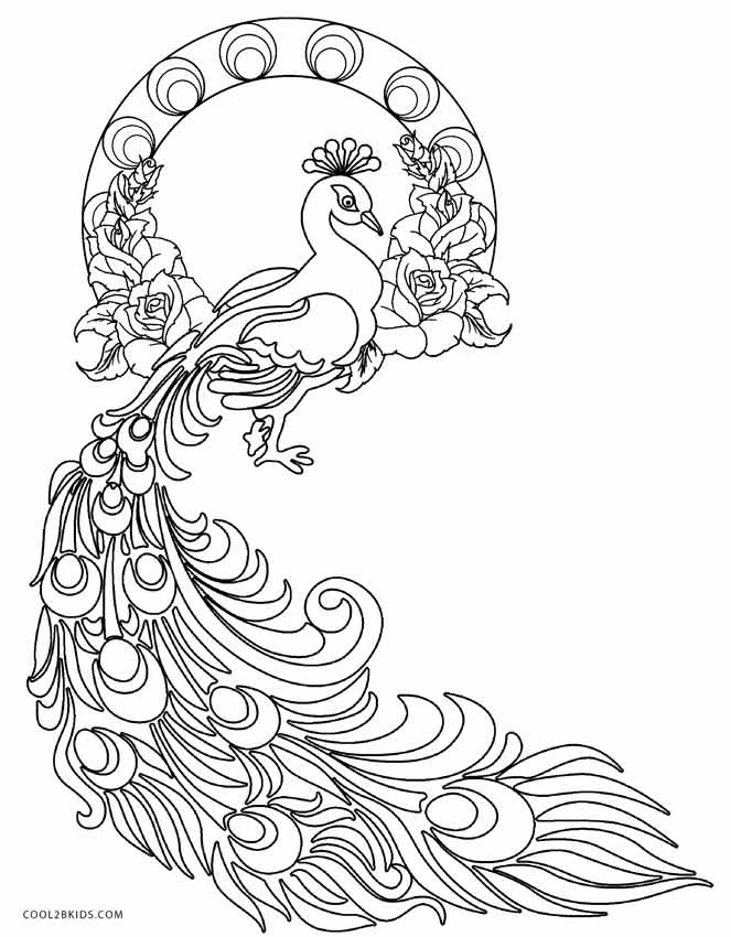 663x850 Peacock Coloring Pages To Print
