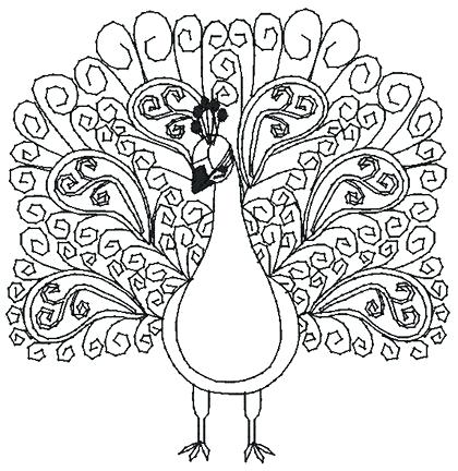 420x432 Unusual Pictures Of Peacocks To Color Printable Peacock Coloring