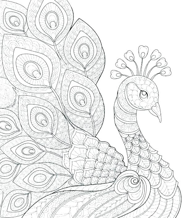 618x706 Coloring Pages Peacock