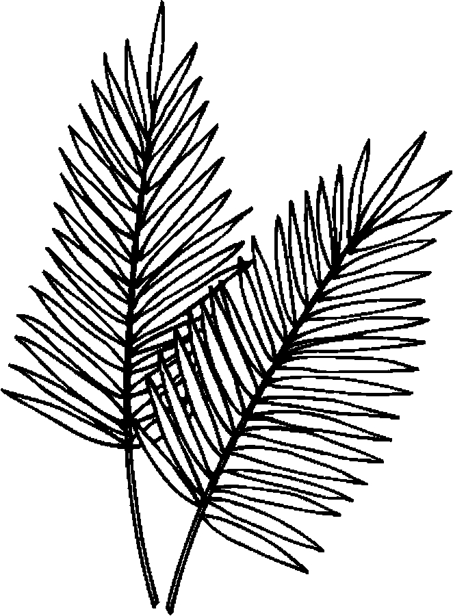662x900 Palm Leaves Coloring Page