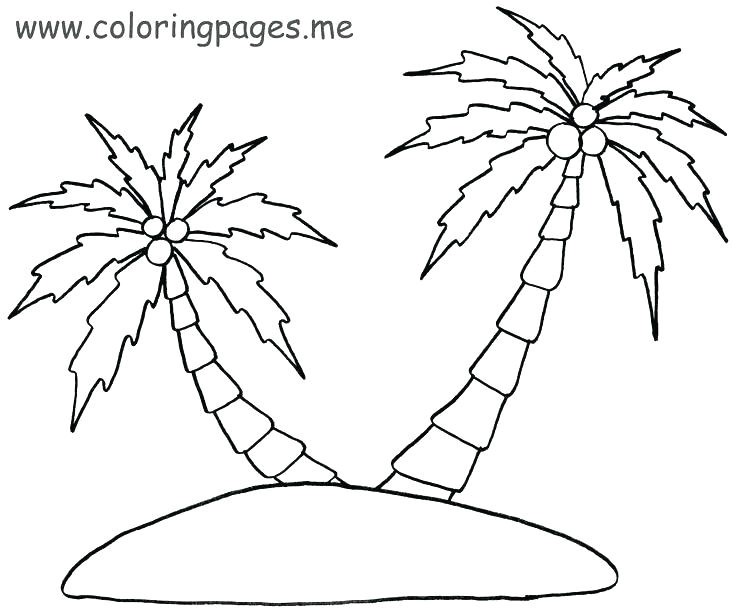 736x614 Luxury Date Palm Coloring Pages Coloring Ws