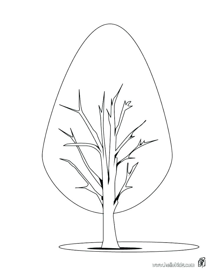 728x941 Palm Leaves Coloring Pages Fall Leaves Coloring Pages Fall Leaves