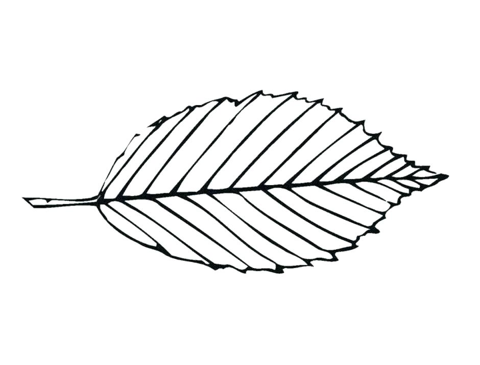 940x716 Coloring Page Leaf Big Leaf Coloring Pages Leaf Coloring Page Free