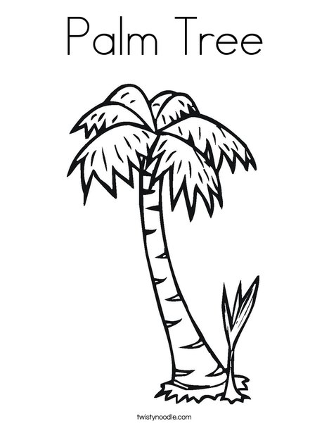 468x605 Palm Tree Coloring Page