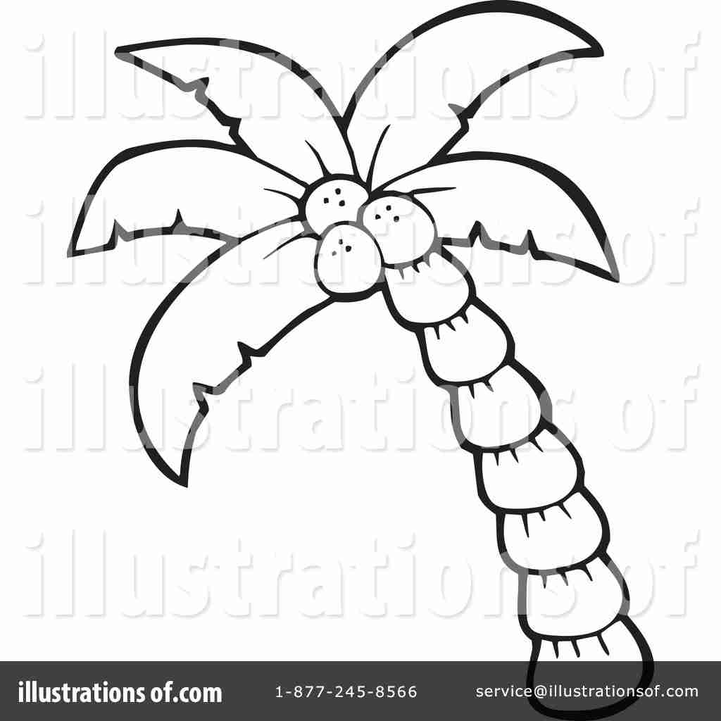 1024x1024 Palm Tree Colouring Page Coloring Pages Bright Trees Color Pages
