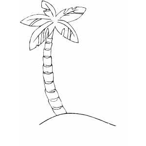 300x300 Palm Tree Island Coloring Page