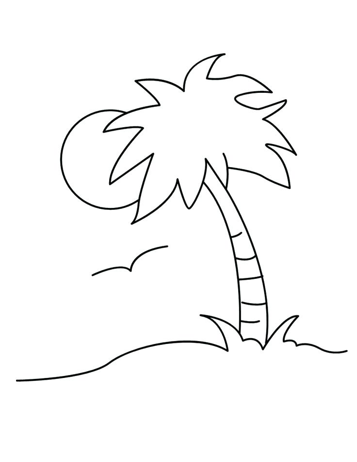 736x951 Date Palm Tree Coloring Pages Kids Coloring Images Of Palm Tree