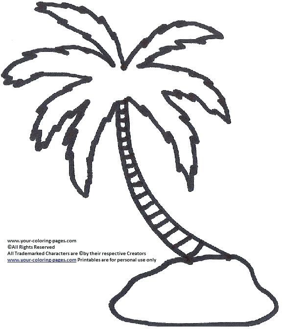580x672 Palm Tree Coloring Page Coconut Tree Coloring Page Fan Picture