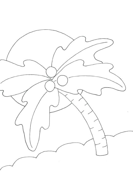 545x705 Palm Tree Coloring Page Palm Tree Leaves Coloring Pages