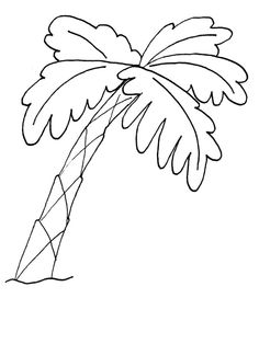 236x314 Palm Tree Coloring Pages Palm Tree Coloring Pages Com Gif