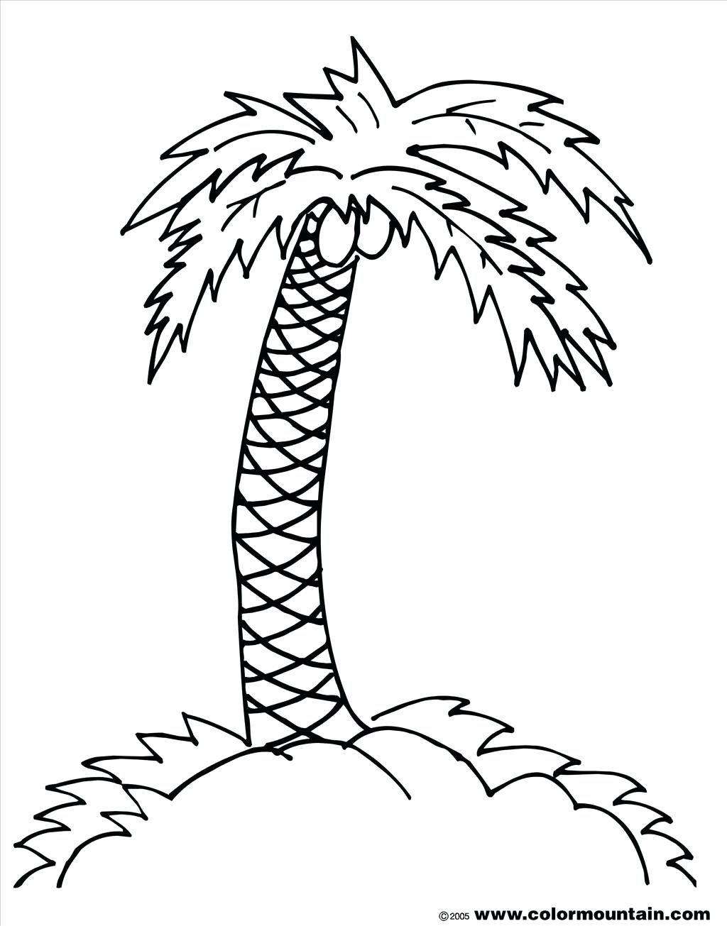 1024x1305 Coloring Page Trees Coloring Pages Good Palm Tree Photograph