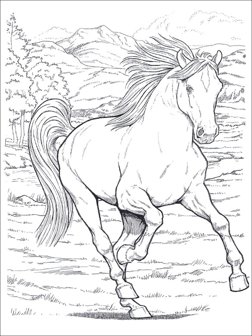 836x1116 Horses Adult Coloring Pages Horse Is A Horse Of Course