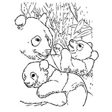 230x230 Panda Bear Coloring Pages Top Free Printable Cute Panda Bear