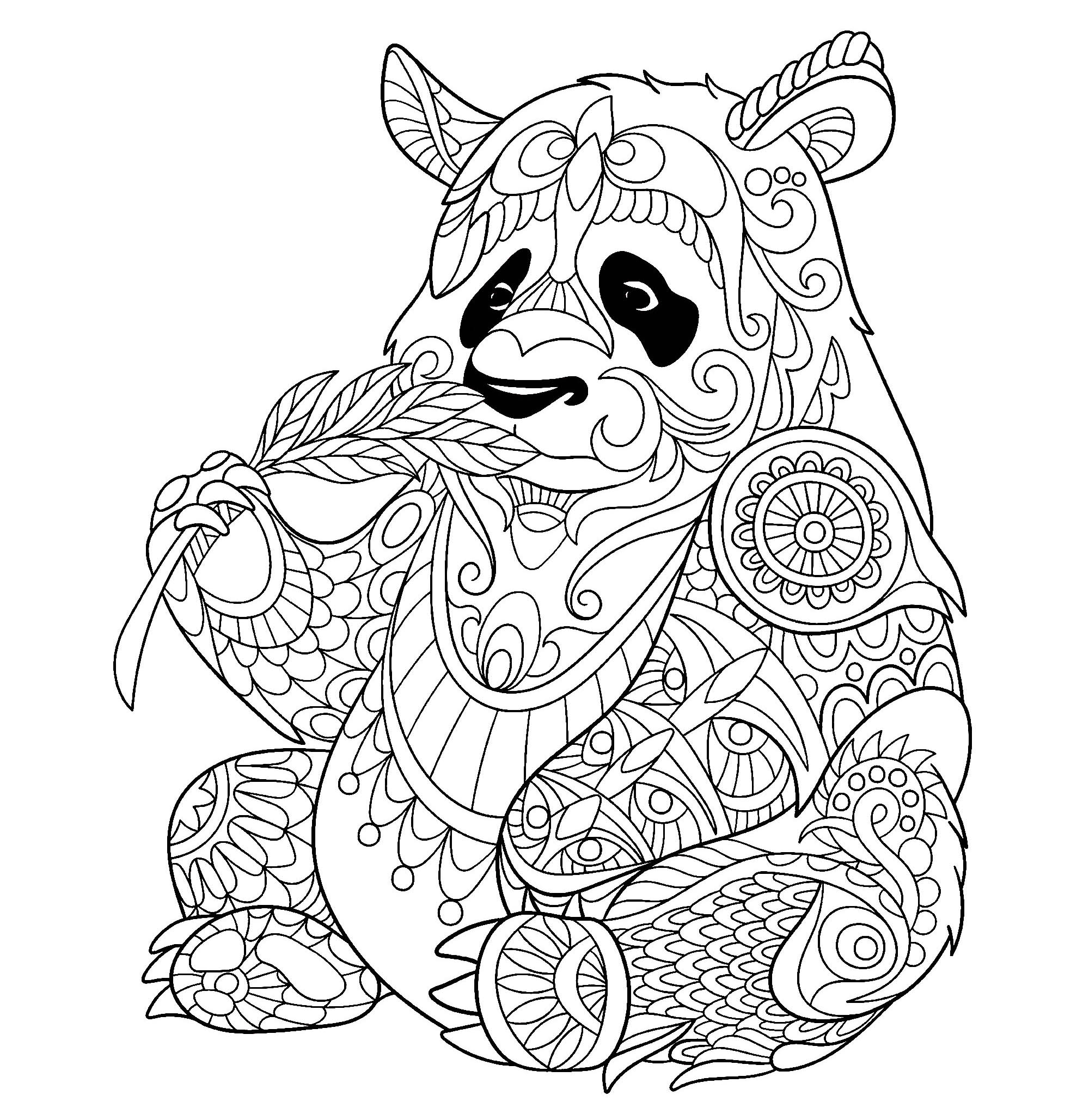 2000x2057 Panda Eating Bamboo Shoot