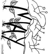 220x220 Pansy Coloring Pages