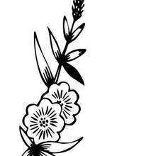 220x220 Pansy Flower Coloring Pages