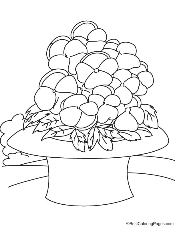 612x792 Yellow Pansies In Hat Coloring Page Download Free Yellow Pansies