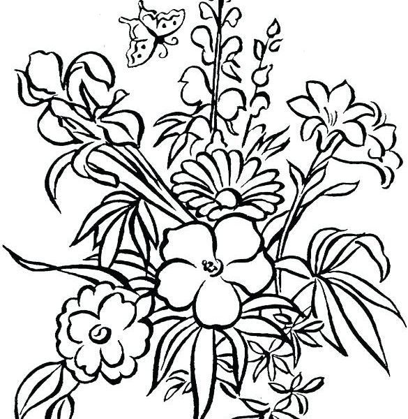 585x600 Free Flower Coloring Pages To Print Coloring Page