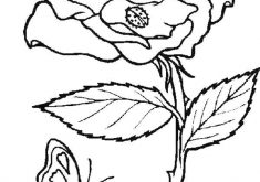 235x165 Pansies Coloring Opage