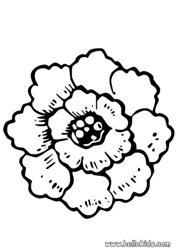 601x850 Rose Flower Coloring Pages