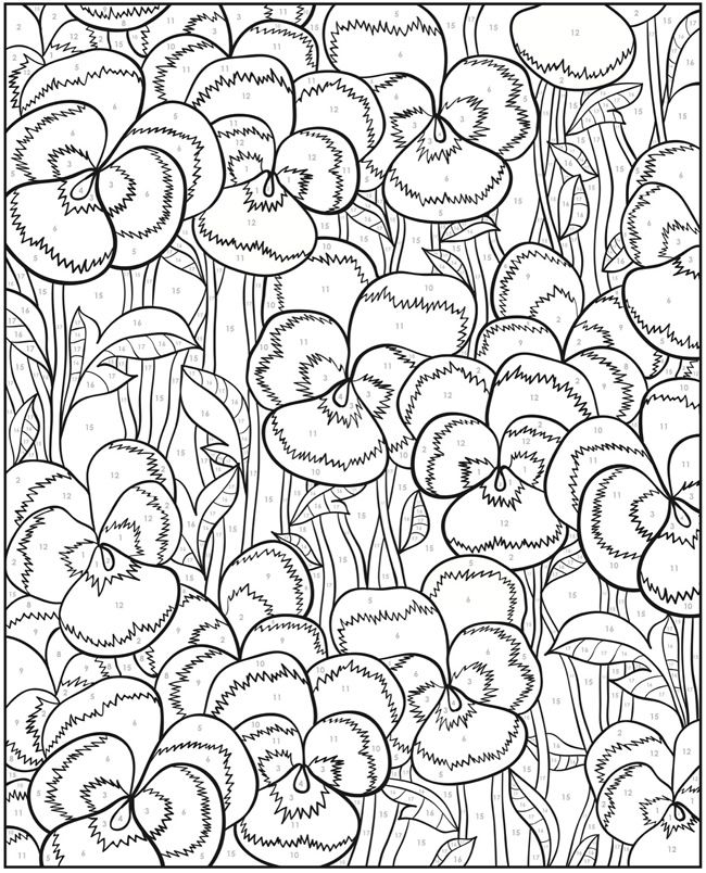 650x804 Welcome To Dover Publications