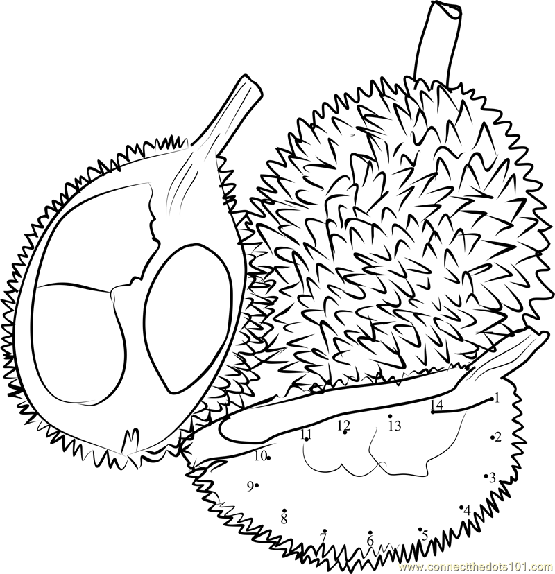 800x828 Durian Coloring Pages