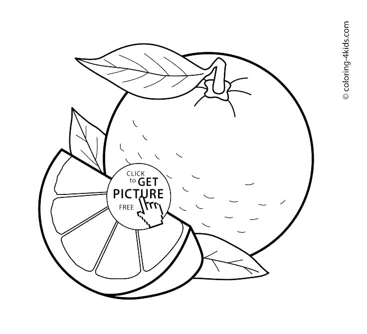 736x670 Fruits Coloring Pages Fruits Coloring Pages For Kids Fruits Basket