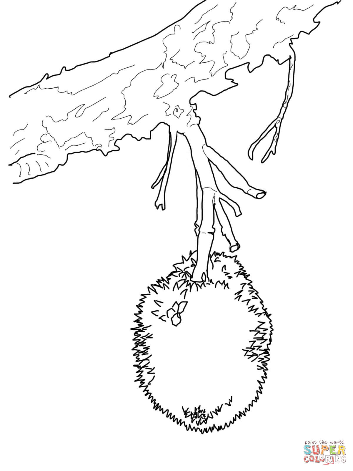 1200x1600 Jackfruit Tree Coloring Coloring Pages