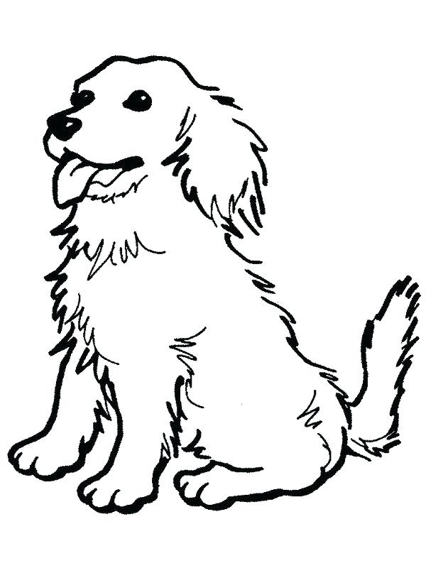 Papillon Dog Coloring Pages at GetDrawings | Free download