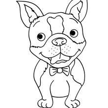 220x220 Smiling Dog Coloring Pages