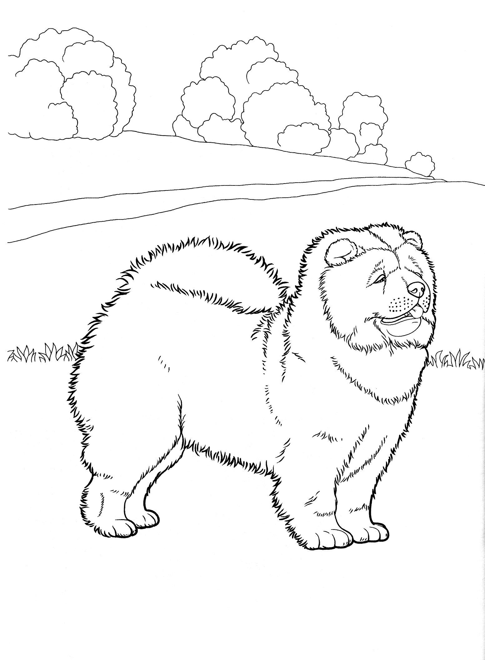 1553x2114 Dog Coloring Pages Teenagers Coloring Pages Woodburning Ideas