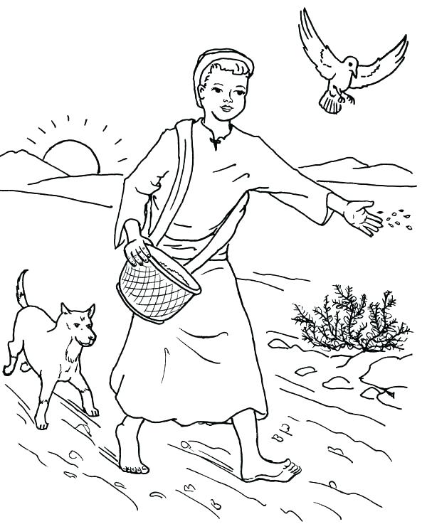 600x744 Mustard Seed Parable Coloring Page