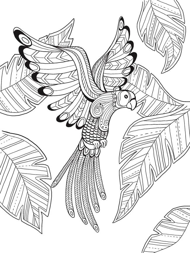 Paradise Coloring Pages