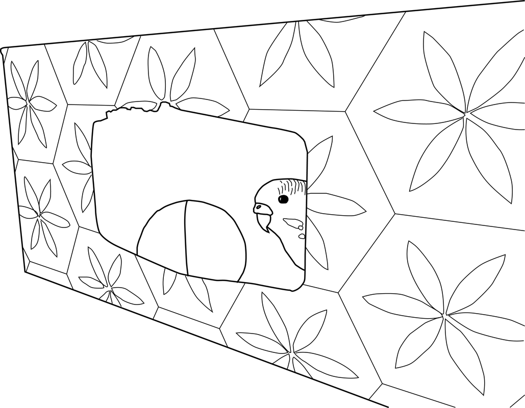1029x800 Parakeet Coloring Pages