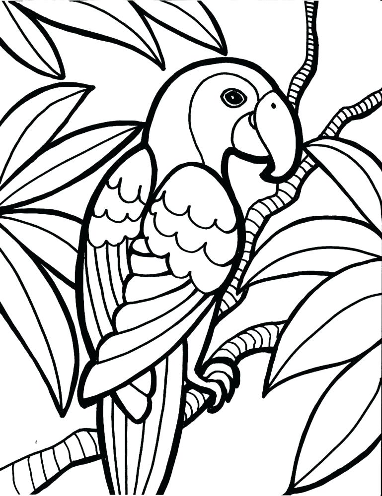 769x1000 Parakeet Coloring Pages Parakeet Coloring Pages Free Parakeet