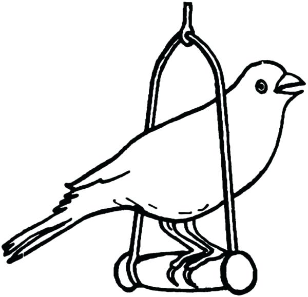 600x579 Pet Bird Coloring Pages