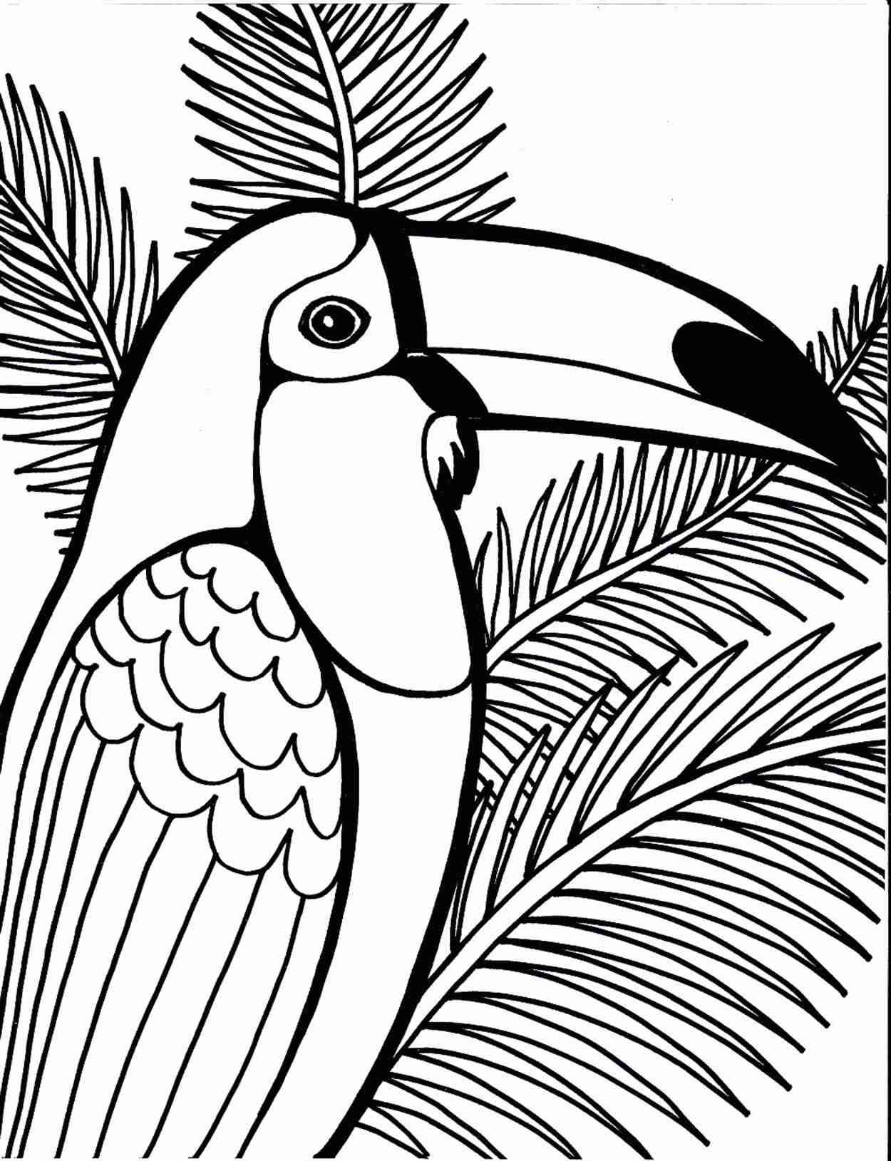 1250x1629 Direct Parrot Colouring Pages Bird Coloring Page Kids