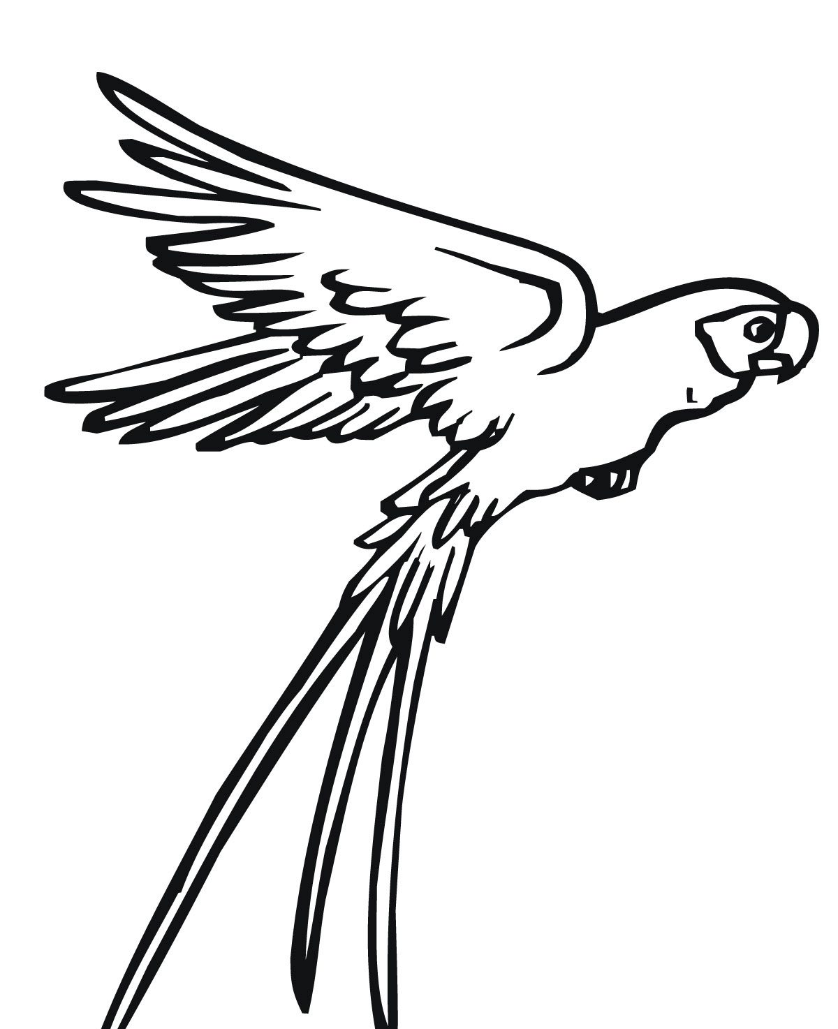 1200x1474 Flying Parrot Bird Coloring Page Animal Coloring Pages