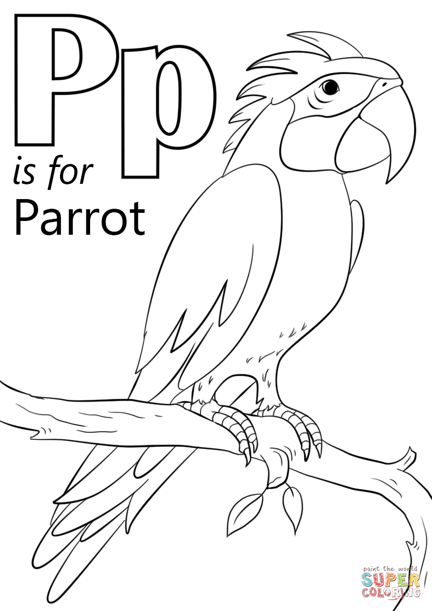 849x1200 Pair Of Parrots Coloring Pages Printable Free Animals Sheets