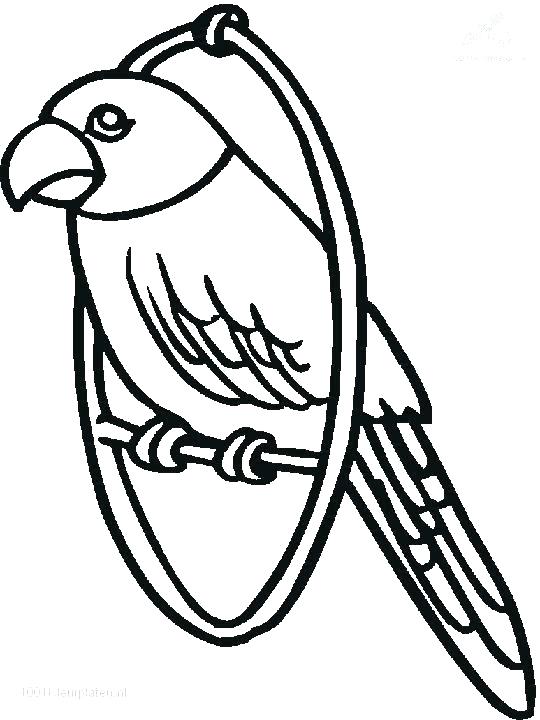 540x720 Parrot Coloring Pages Top Parrot Coloring Page Print Coloring