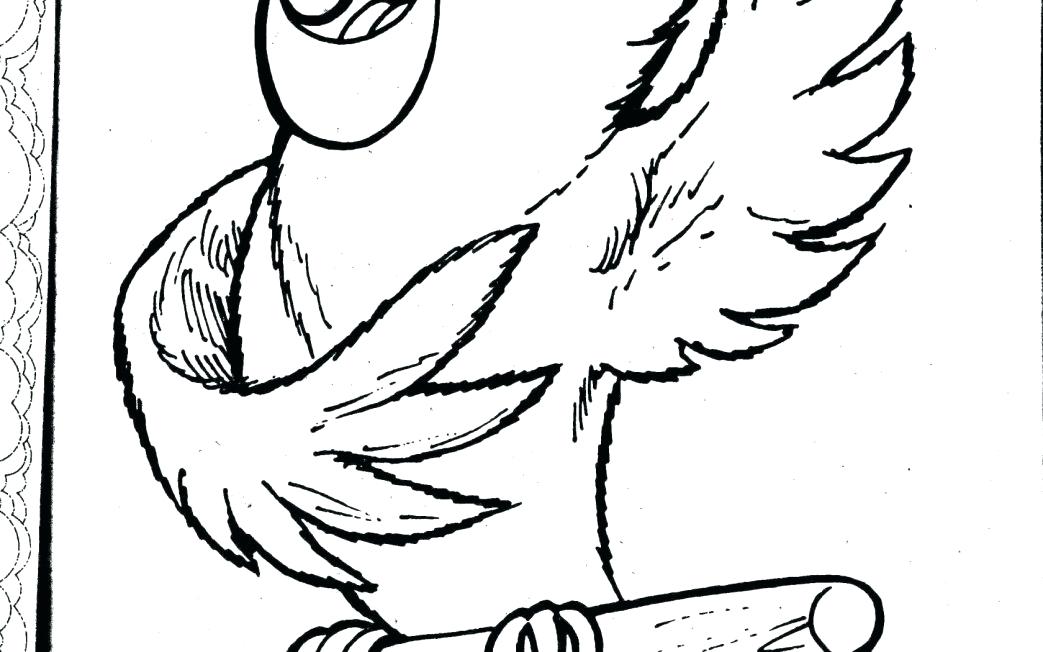 1043x652 Parrot Bird Coloring Pages Online Free