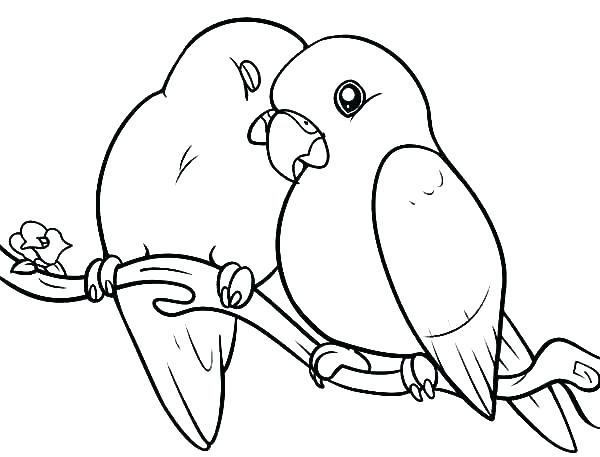 600x457 Cardinal Bird Coloring Page Cardinal Coloring Pages Bird Coloring